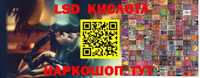 шишки Будённовск