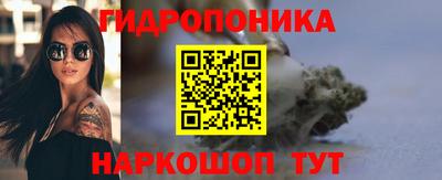 шишки Будённовск