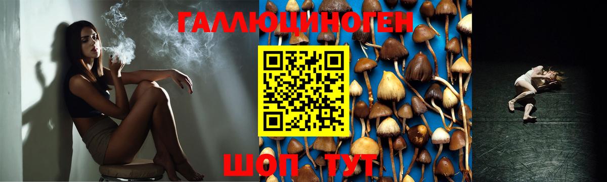 Галлюциногенные грибы MAGIC MUSHROOMS  Вход с VPN  Сальск 